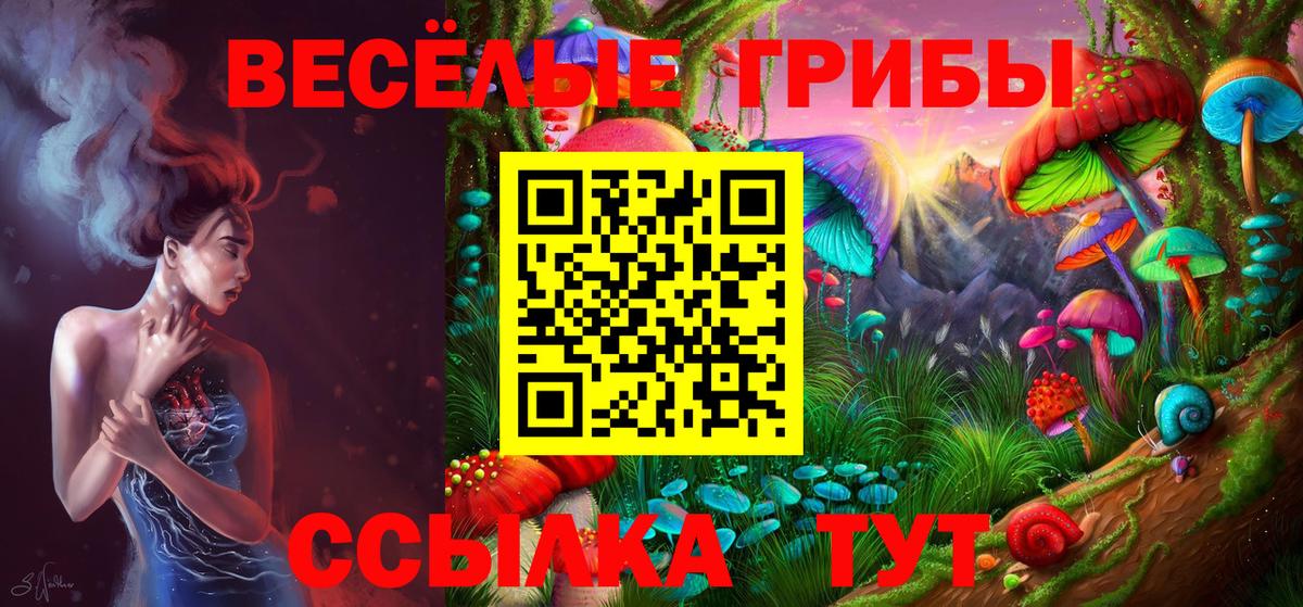 Псилоцибиновые грибы GOLDEN TEACHER Комсомольск-на-Амуре